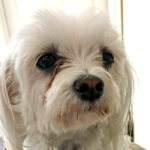 Samantha (Sam)