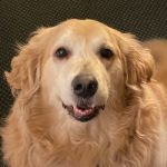 Riley