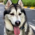 Eska