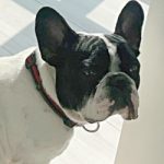 Oscar