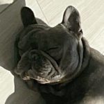 Otis