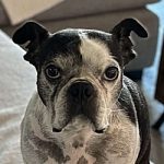 Benson