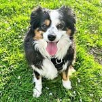 Kaia