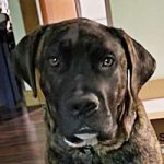Ernie