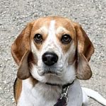 Molly