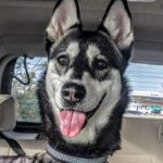 Sascha