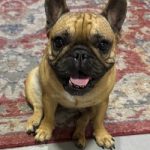 Winnie