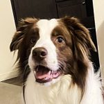 Peanut