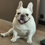 Doubao