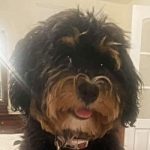 Daisy