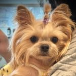 Mimi