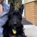 Maximus Shiloh