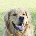 Samson