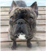Finnegan