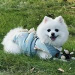 Kaixin